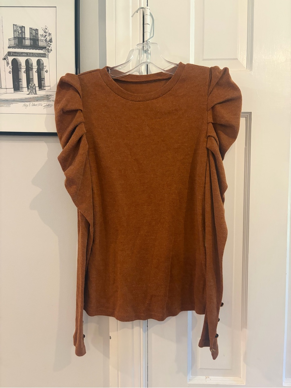 SHEIN Rust Brown Puff-Sleeve Long Sleeve Top